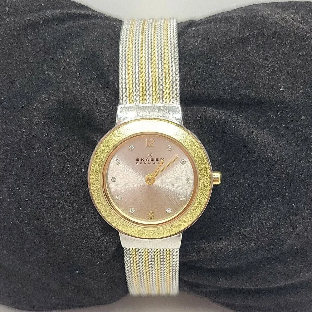 SKAGEN SKW2157 Women's Stainless Steel Analog Gold Dial Quartz Wrist Watch AM597